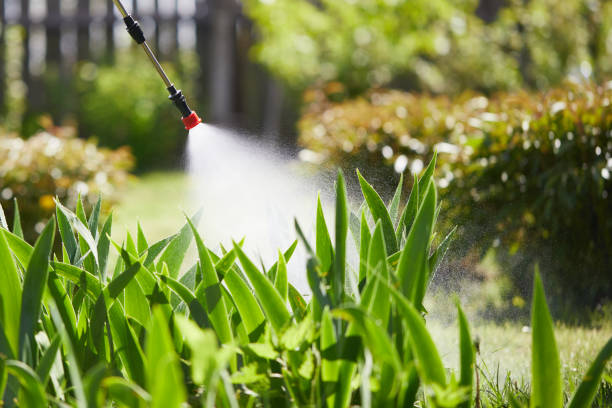 24/7 Emergency Wasp Removal experts in Oakwood Hills, IL