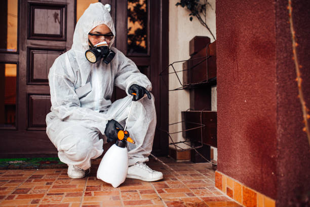 Reliable Wasp Removal contractor in Oakwood Hills, IL by Show Me Pest Control